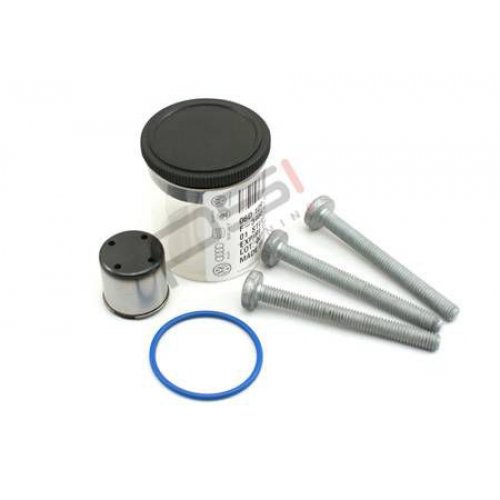 Genuine Cam Follower Replacement Kit 2.0 TFSI (EA113)